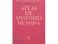 Atlasul corpului uman, 2 volume, ediție antică rusă