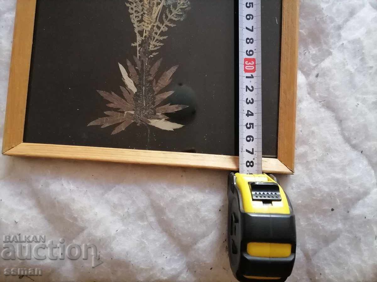 Παράδοση Διακοσμητικό πάνελ από αποξηραμένα λουλούδια ΣΟΣ