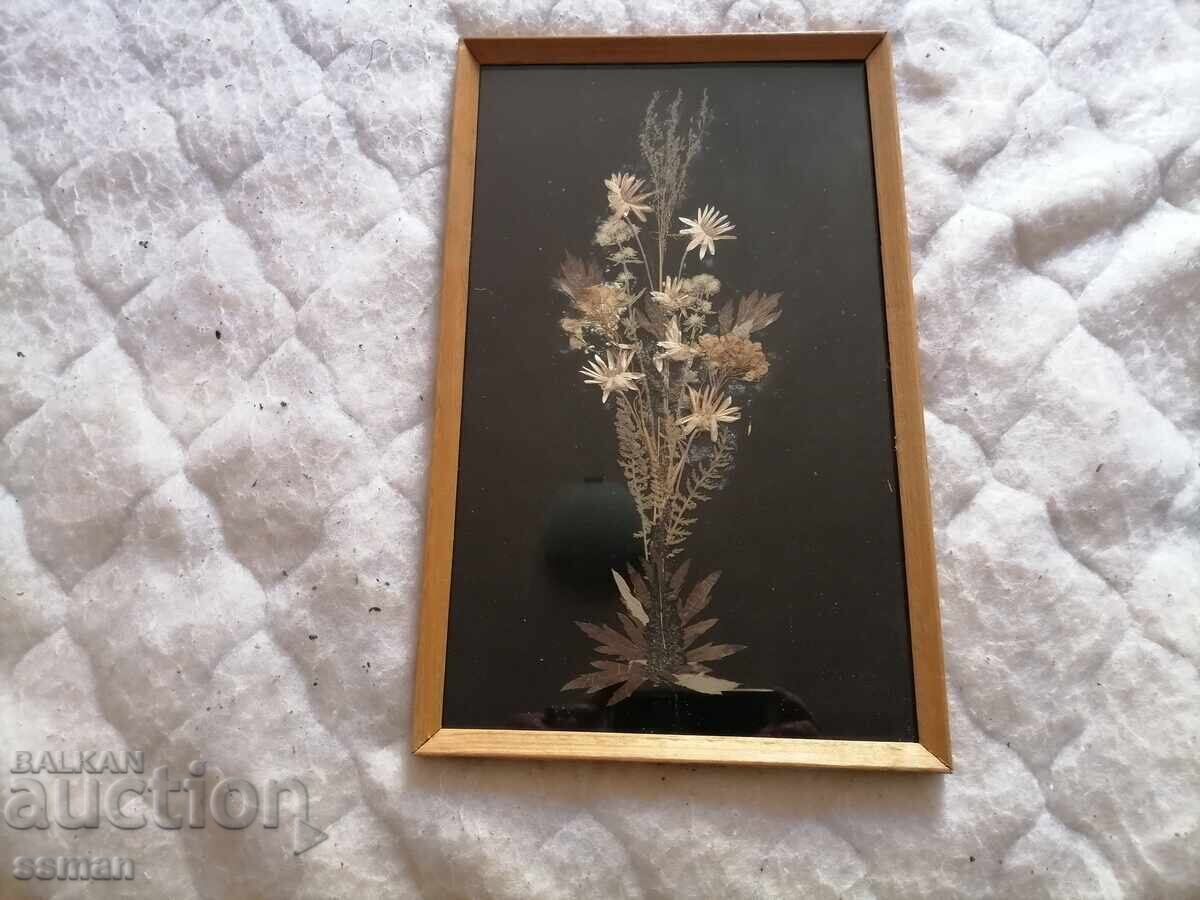 Διακοσμητικό πάνελ από αποξηραμένα λουλούδια ΣΟΣ