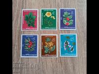 Bulgaria 1976 Rare Trees and Shrubs