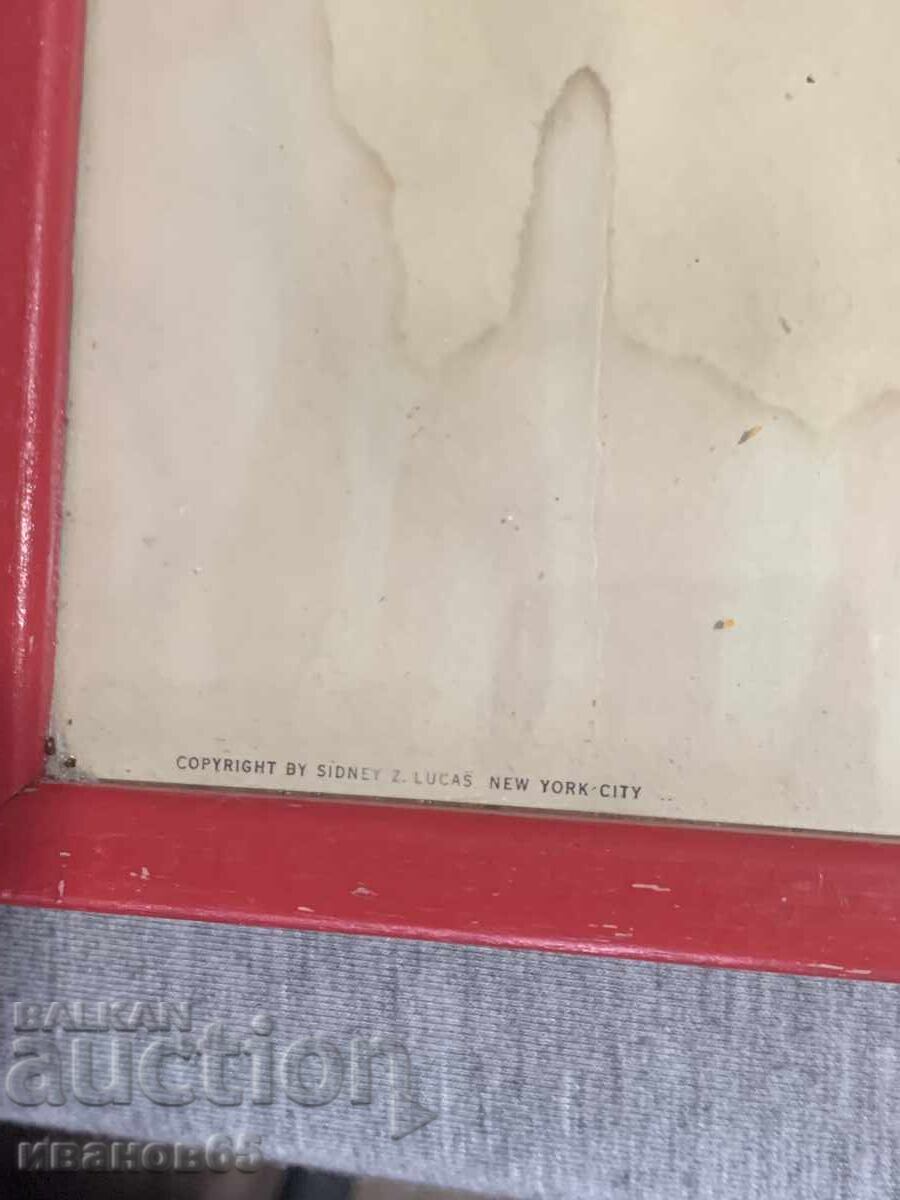 Τρεις Έγχρωμες Λιθογραφίες Παπαγάλων Εκτύπωση - 7 Τρεις Έγχρωμες Λιθογραφίες Παπαγάλων Εκτύπωση - 7