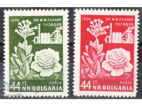 1956. Bulgaria. Târgul de la Plovdiv.