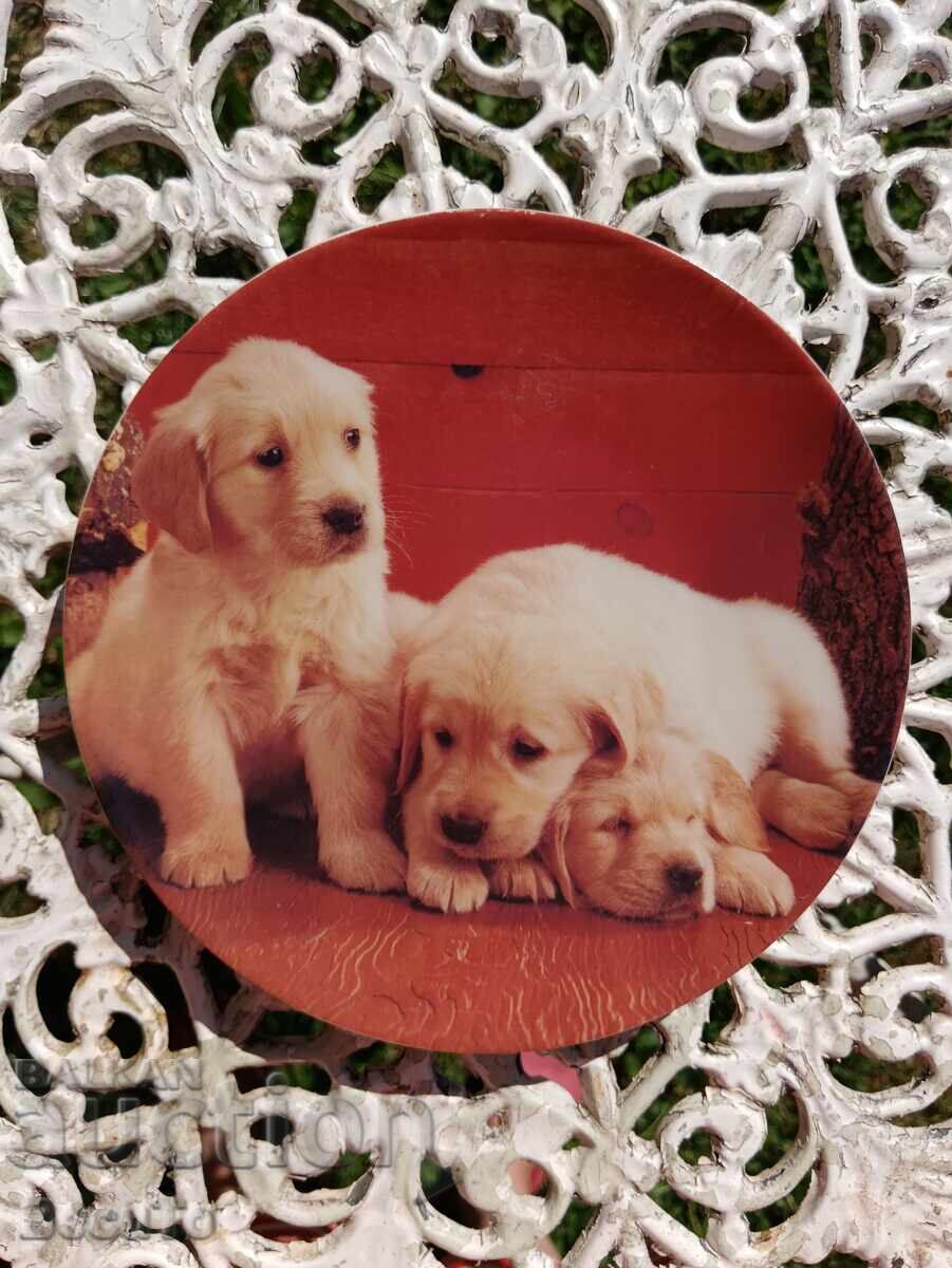 Παράδοση 2 τμχ διακοσμητικά πορσελάνινα πιάτα με σκυλάκια Παράδοση 2 τμχ διακοσμητικά πορσελάνινα πιάτα με σκυλάκια