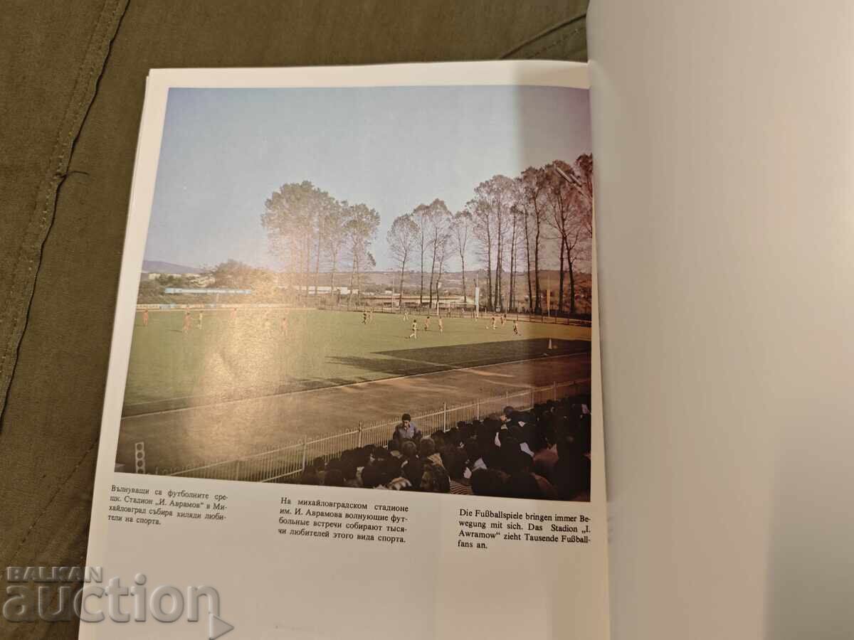 Σεπτεμβριανή φλόγα, Επαρχία Μιχαηλοβγκράντ - 6