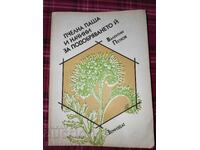Pășunat de albine și modalități de îmbunătățire a acestuia