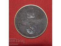 Medalie comemorativă de bronz 1886, Maria Anna de Savoia