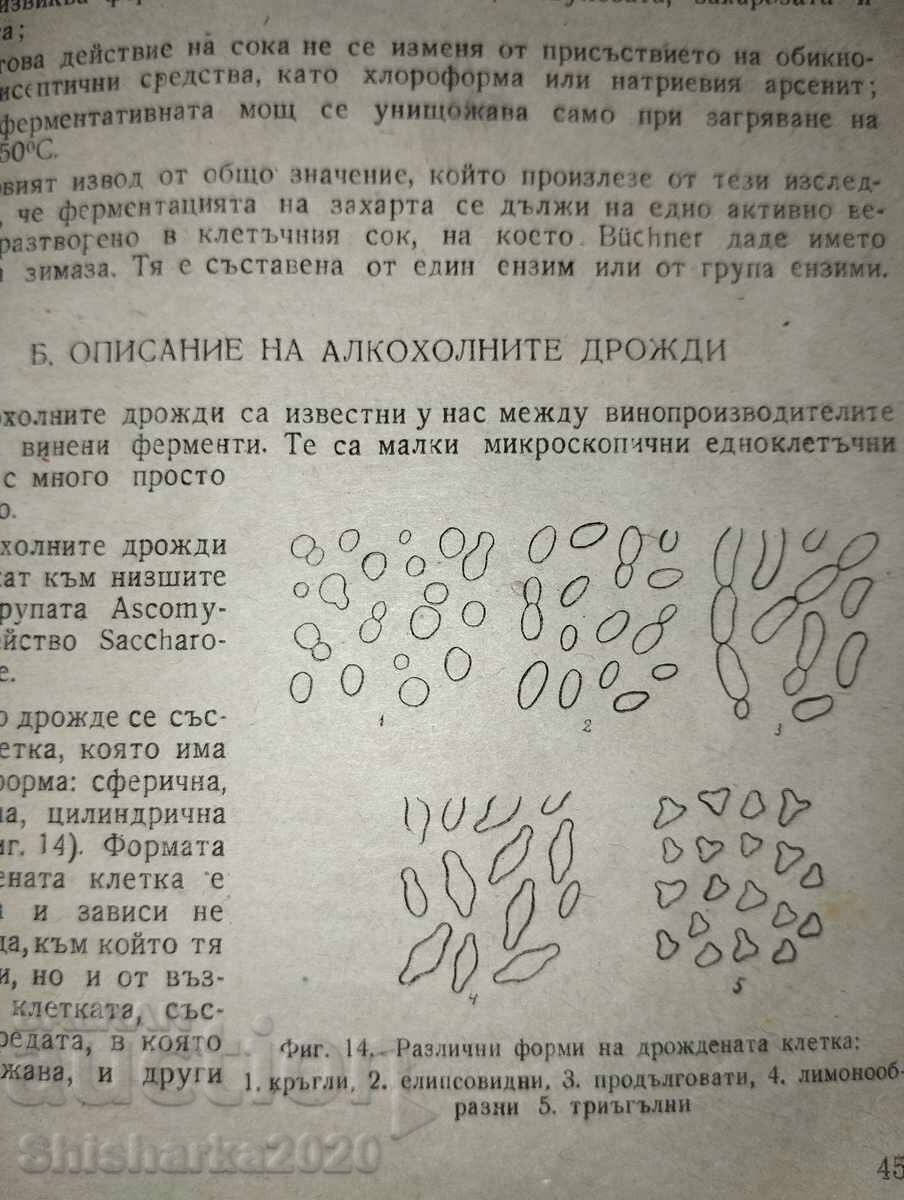 Delivery of Winemaking - Techniques and Technology of Wine Production