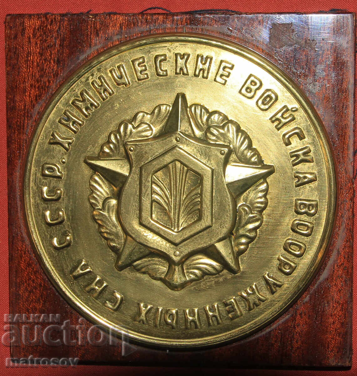Delivery of Commemorative Plaque of the Chemical Troops of the USSR