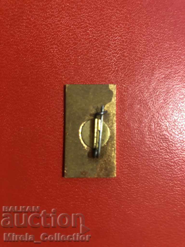 Badge of the 25 years of the Ministry of Interior, enamel - 5