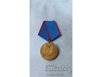 Медал За заслуги Доброволни отряди на трудещите се