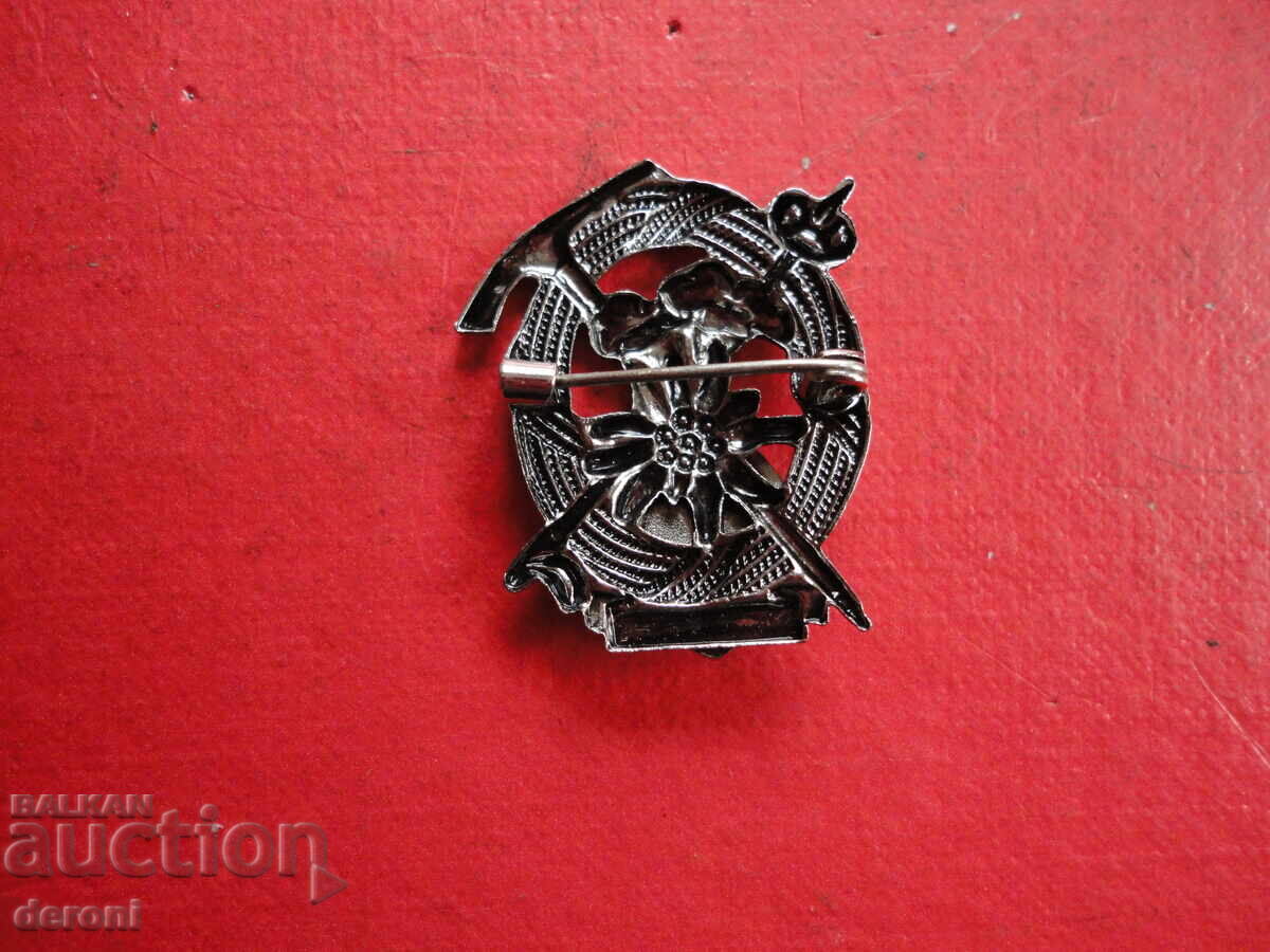 Licitație Insigna de vânătoare, semn, broșă 1