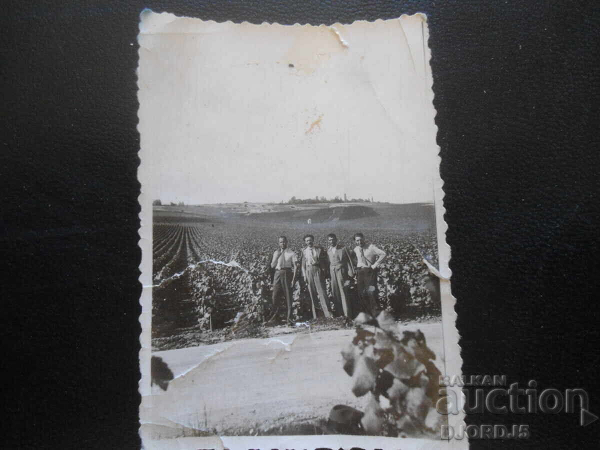 Old photo, Vineyards with price 1.00 BGN | € 0.51 Old photo, Vineyards with price 1.00 BGN | € 0.51