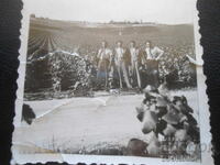 Old photo, Vineyards