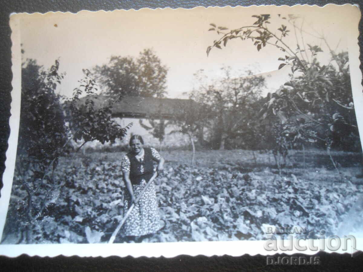 old photo with price 0.50 BGN | € 0.26 old photo with price 0.50 BGN | € 0.26