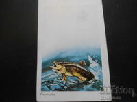 Calendar vechi bulgăresc, 1984, Păstrăv