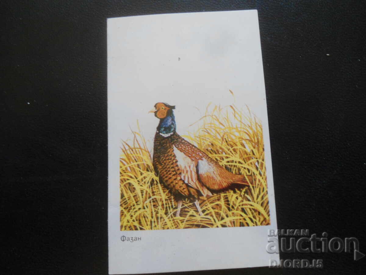 Παλαιό βουλγαρικό ημερολόγιο, 1984, Φασιανός