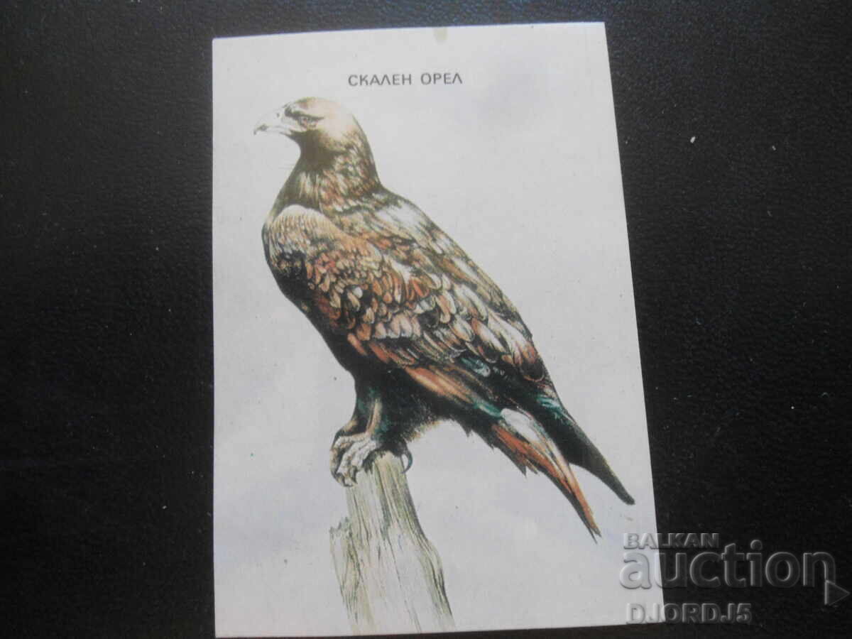 Παλιό βουλγαρικό ημερολόγιο, 1985, Σκαλιστός αετός