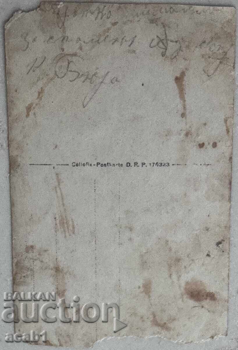 Δημοπρασία Μπενά στη Νόσια