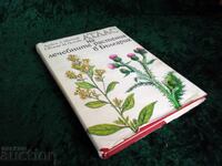 Atlas de plante medicinale din Bulgaria, Alexi A. Mitrev, Svet