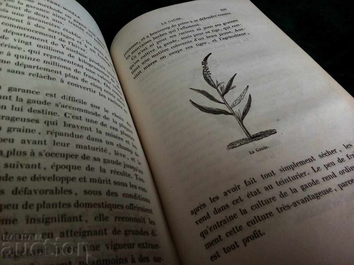 Old French Book for Farmers - 5 Old French Book for Farmers - 5