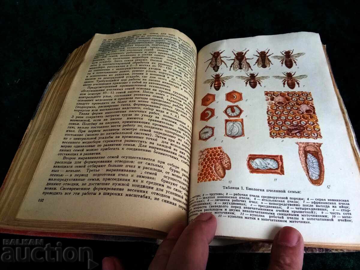 Delivery of G.A. AVRMISA BEEKEEPING