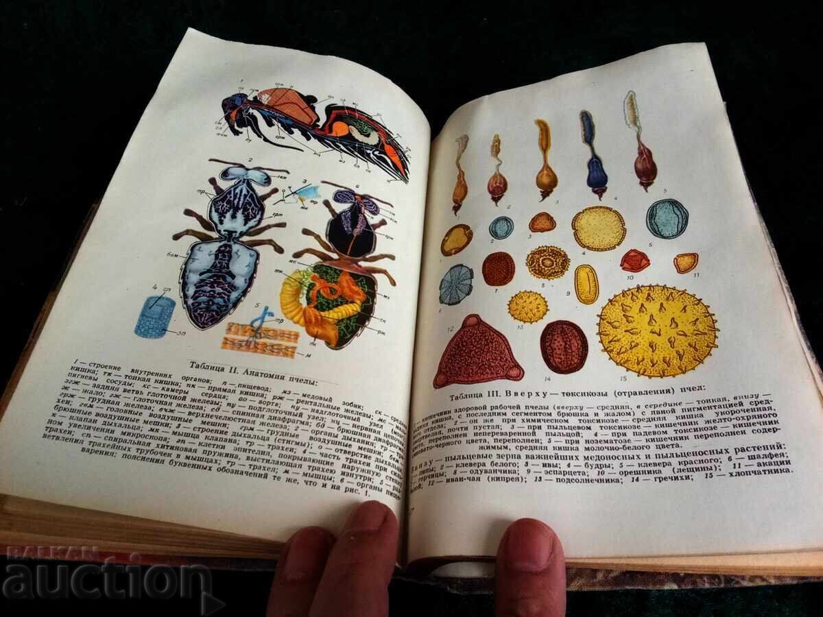 Г.А. АВРМИСА ПЧЕЛОВОДСТВО Г.А. АВРМИСА ПЧЕЛОВОДСТВО