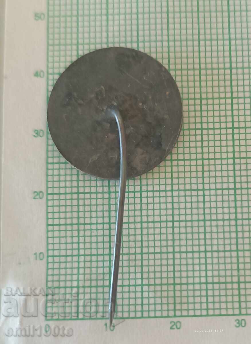 Delivery of Badge - Bulgarian Numismatic Society Delivery of Badge - Bulgarian Numismatic Society