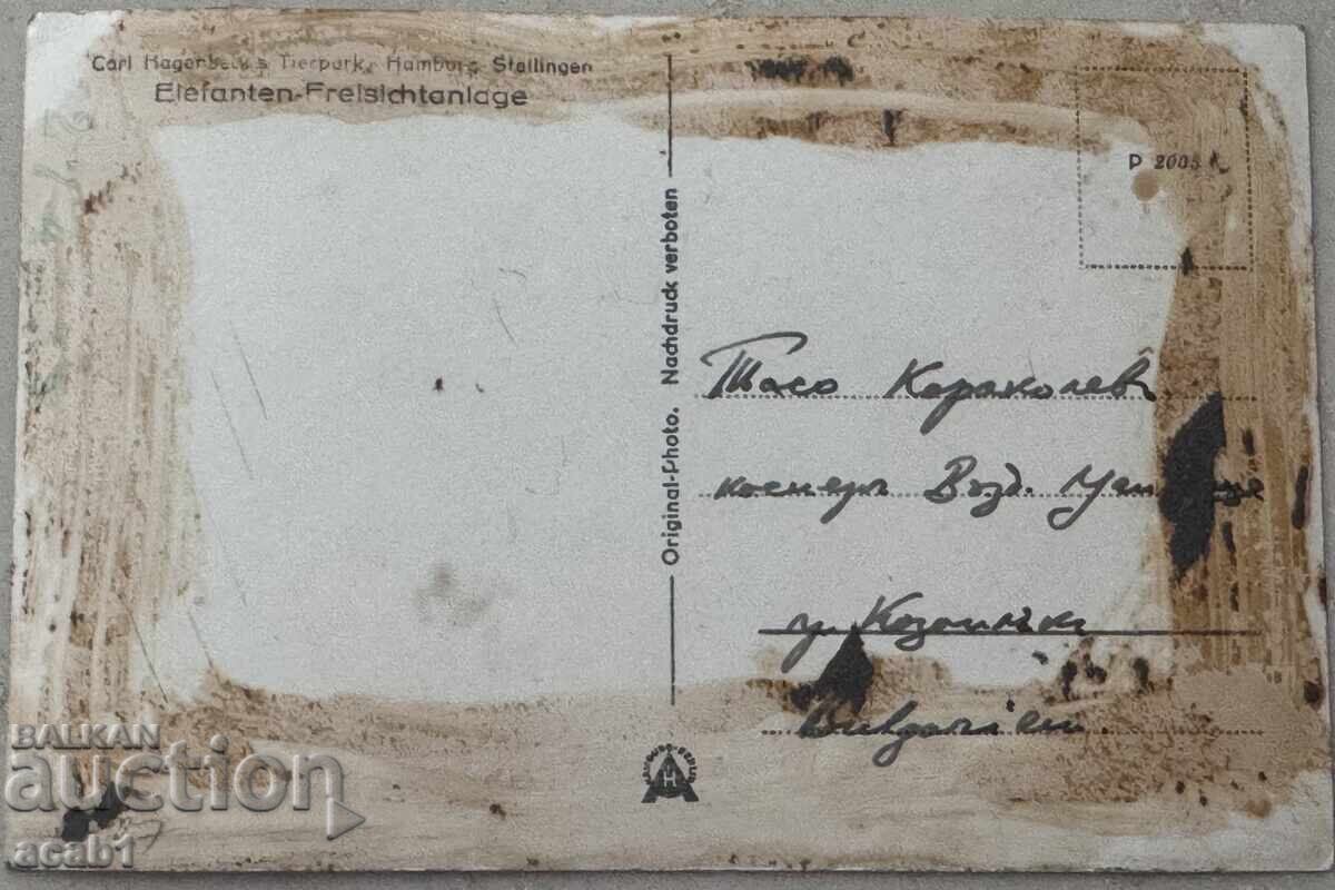 Ελέφαντες Ζωολογικός Κήπος Καρλ Χάγκενμπεκ, Αμβούργο με τιμή 11.99 BGN | € 6.13