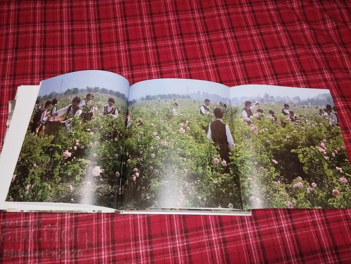 Licitație Bulgaria - album mare