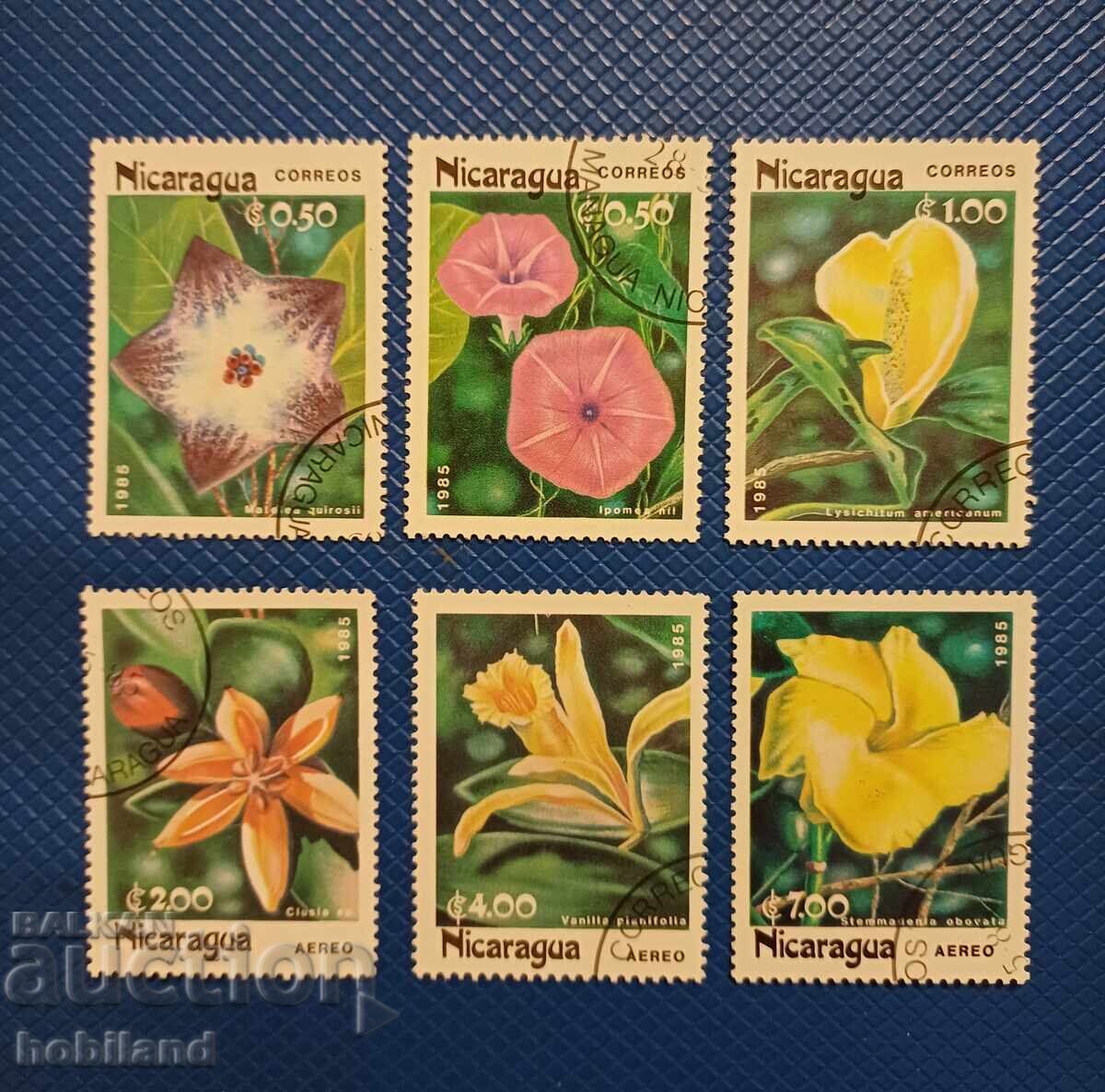 Никарагуа флора Никарагуа флора