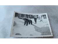 Снимка Мечка в гората през зимата