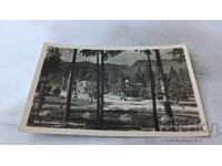 Пощенска картичка Боровец Песако 955