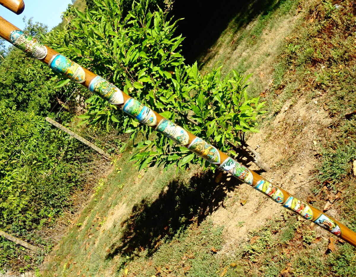 Доставка на Тиролски туристически бастун с 10 значки. Доставка на Тиролски туристически бастун с 10 значки.