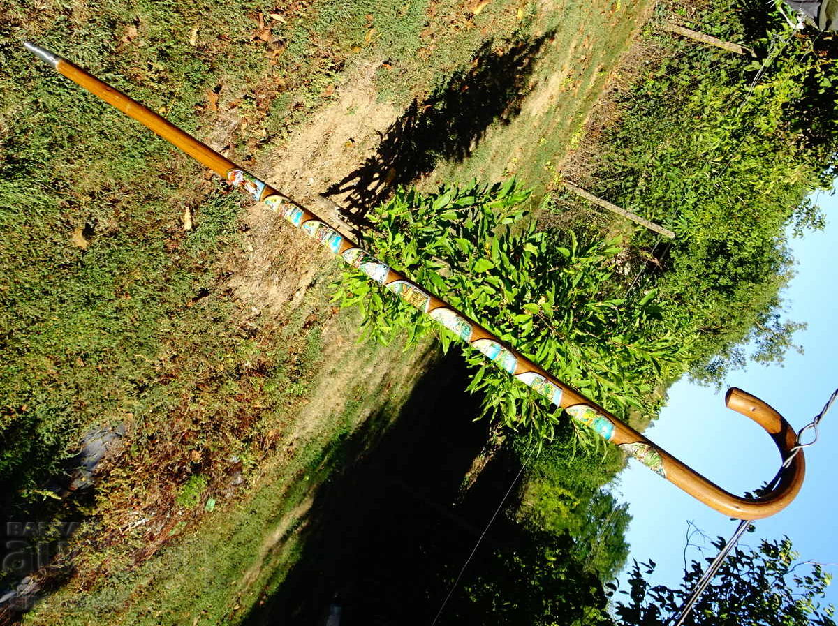 Тиролски туристически бастун с 10 значки. - 6 Тиролски туристически бастун с 10 значки. - 6