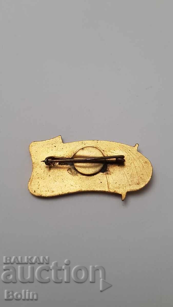 Very rare badge, "National Representative" - 1960-1965 - 7