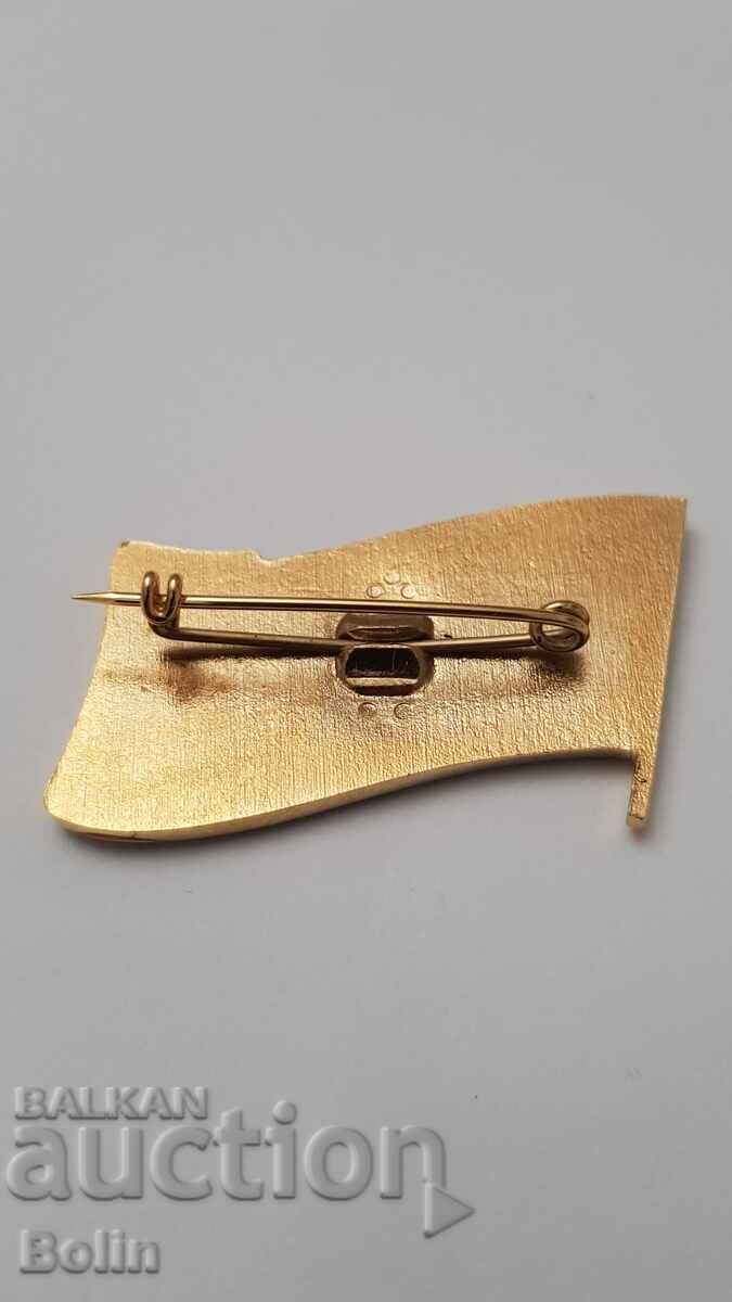 Semn foarte rar, ecuson "Deputat" - 1970-1980 - 5