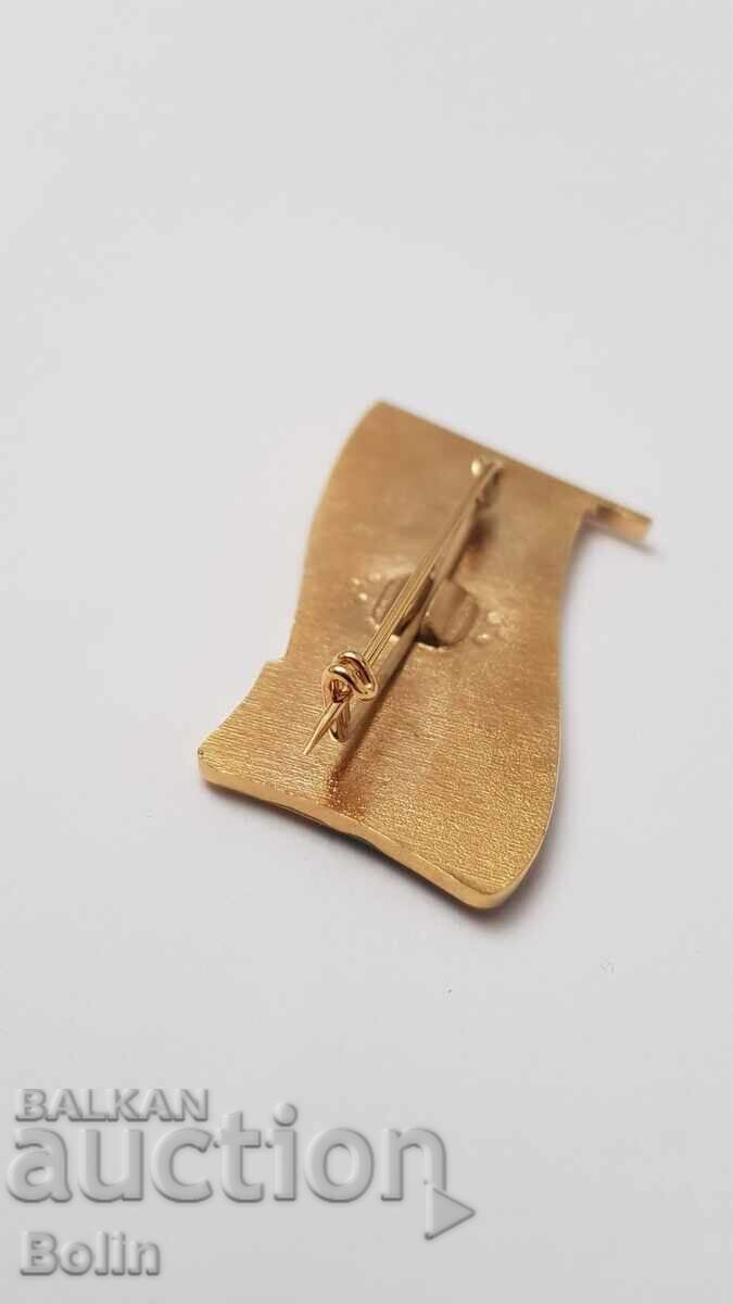 Semn foarte rar, ecuson "Deputat" - 1970-1980 - 6