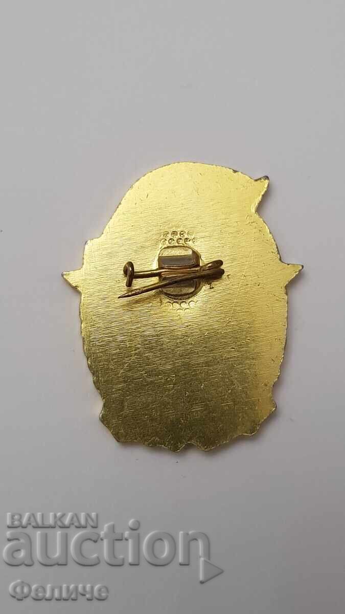 Livrarea Semn comunist rar Fruntaș Pompier, Pompieri DPO