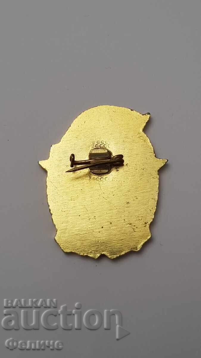 Рядък комунистически знак Отличник Пожарникар, Пожарна ДПО - 5