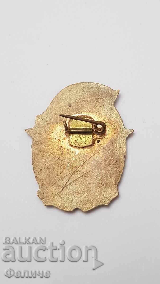 Σπάνιο κομμουνιστικό σήμα Άριστος Πυροσβέστης, Πυροσβεστική - 5