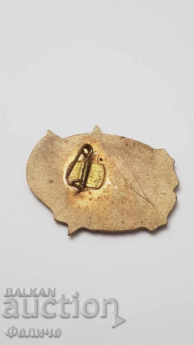 Σπάνιο κομμουνιστικό σήμα Άριστος Πυροσβέστης, Πυροσβεστική - 6