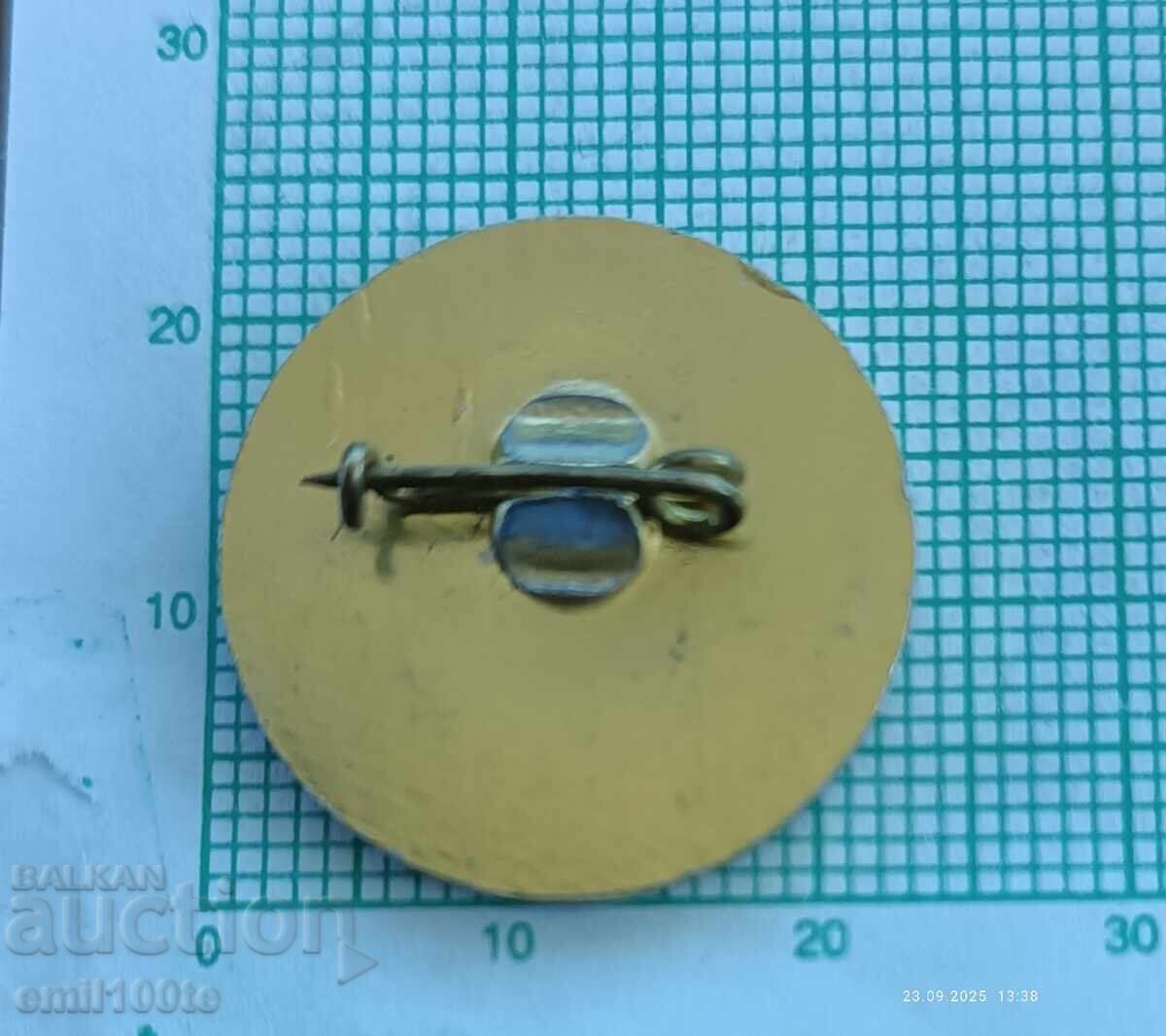 Delivery of Badge - I can swim