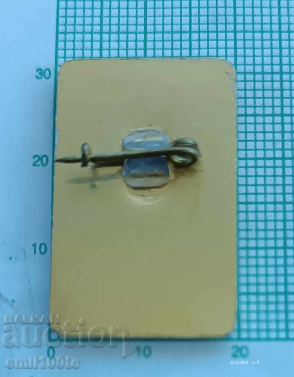 Доставка на Значка- Конференция за защита на природата и мира София 86 Доставка на Значка- Конференция за защита на природата и мира София 86