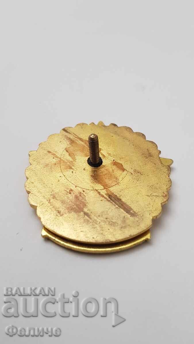 Рядък знак Българска Гражданска Авиация - За Заслуги с цена 90.00 лв. | € 46.02