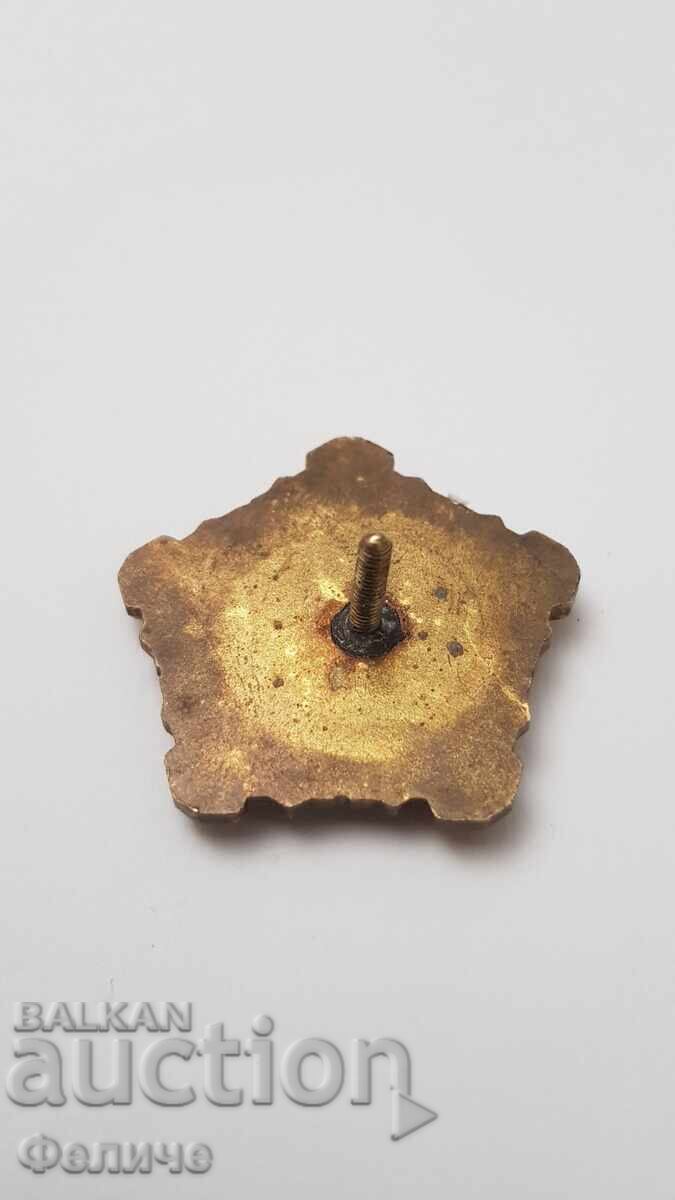 Рядък знак Българска Гражданска Авиация - Отличник - 5