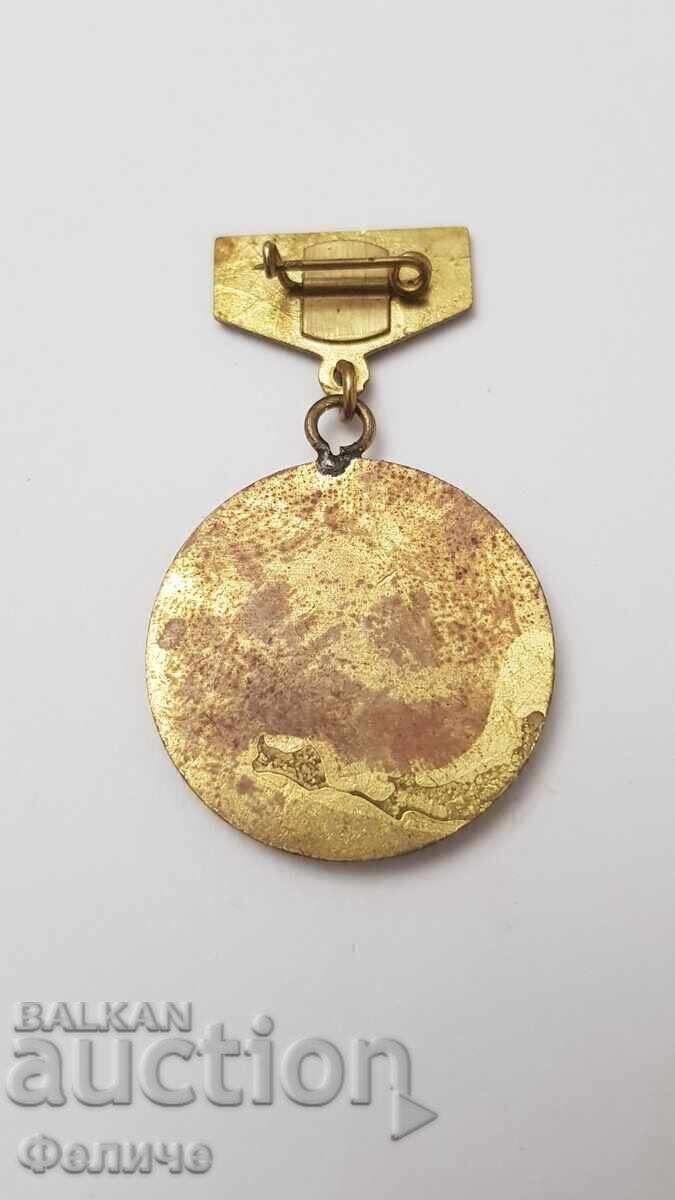 Rare Bulgarian Civil Aviation Badge - Excellent - 5