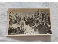BOROVETS DURING THE WINTER OF 1959 P.K