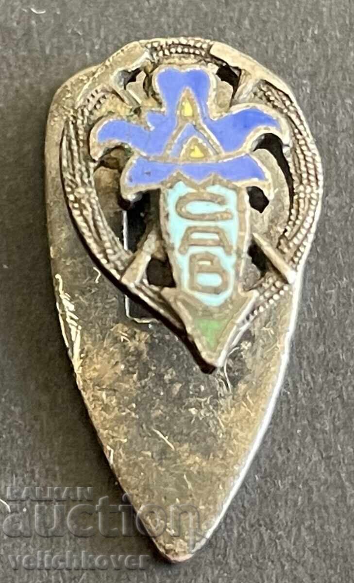 41744 Igariya Badge of the Italian Alpine Clubs Enamel