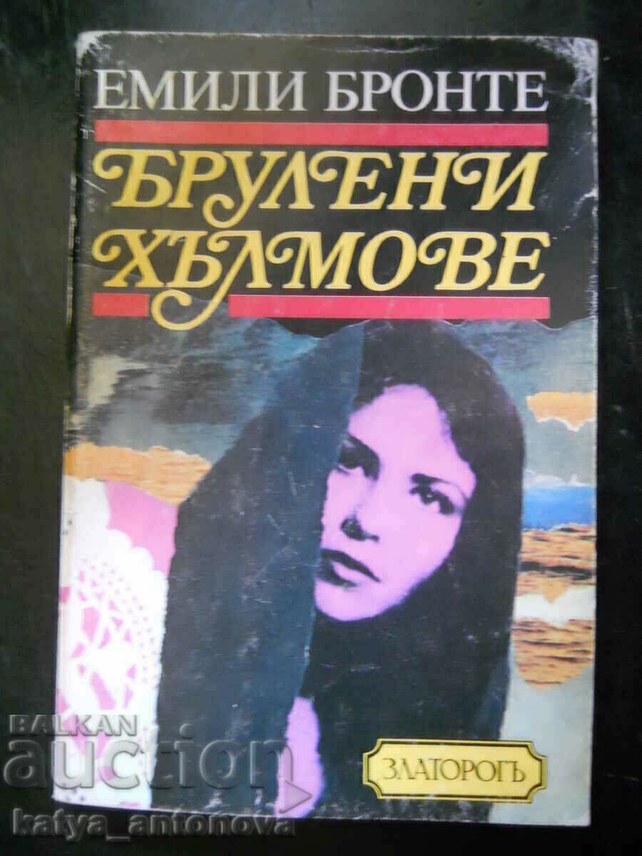 Emily Brontë „Burning Hills” Emily Brontë „Burning Hills”