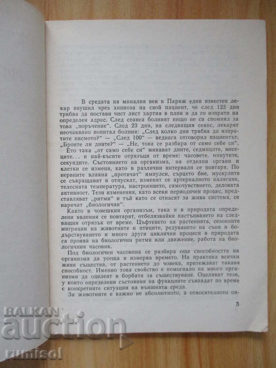 Auction  The Rhythms of Life - Doskin